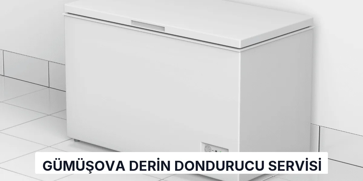 Gümüşova Derin Dondurucu Servisi