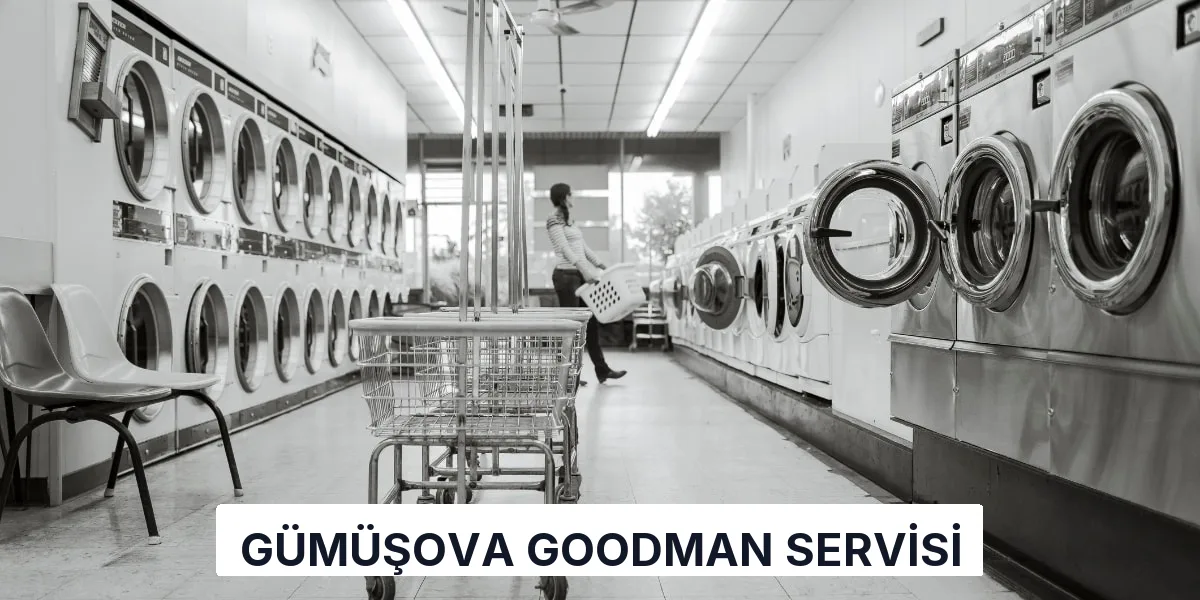 Gümüşova Goodman Servisi