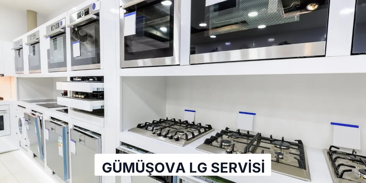 Gümüşova LG Servisi