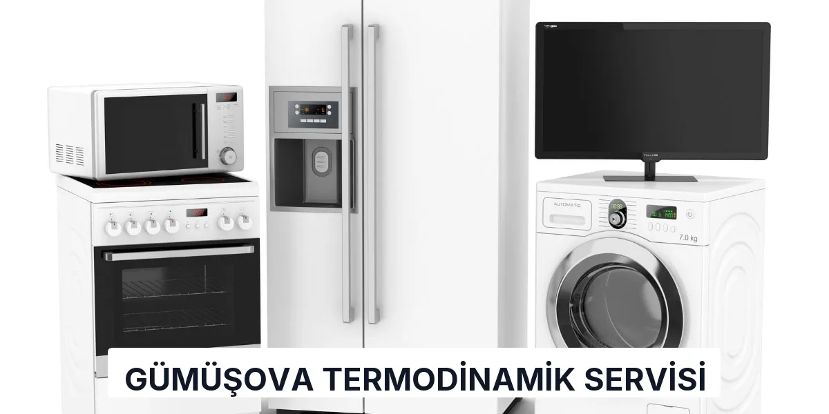 Gümüşova Termodinamik Servisi