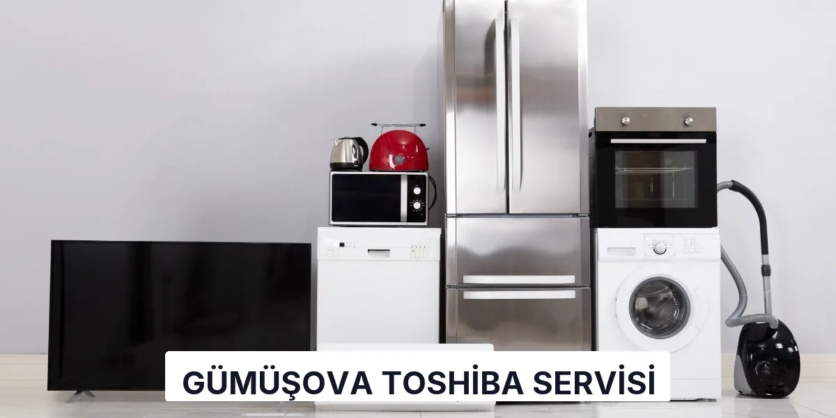Gümüşova Toshiba Servisi
