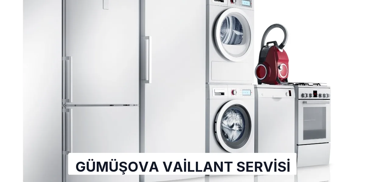 Gümüşova Vaillant Servisi