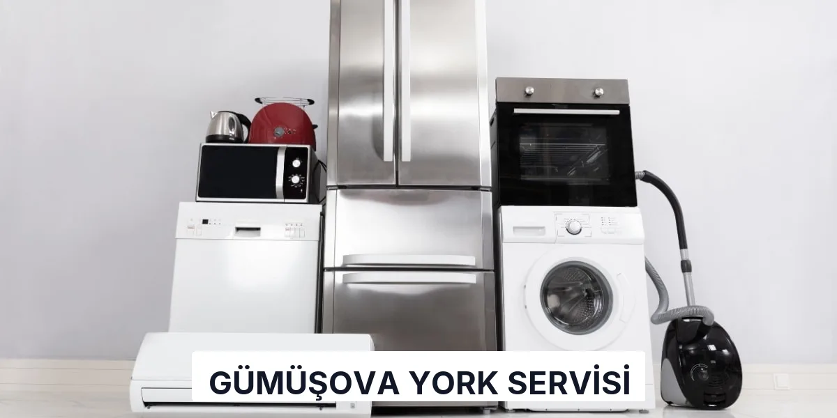 Gümüşova York Servisi
